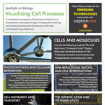 Visualizing Cell Processes flyer
