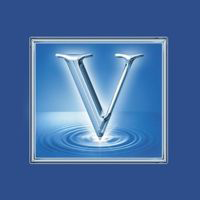 Vision Video Logo