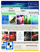 Preview of flyer