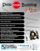 Preview of flyer