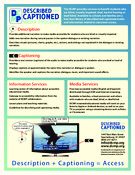Preview of flyer