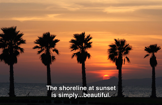 fading orange sky and palm trees. caption: The shoreline at sunset is simply... beautiful.