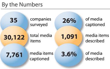 Educational Media Producer and Accessibility Survey Results