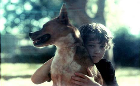 A young boy hugs his dog.