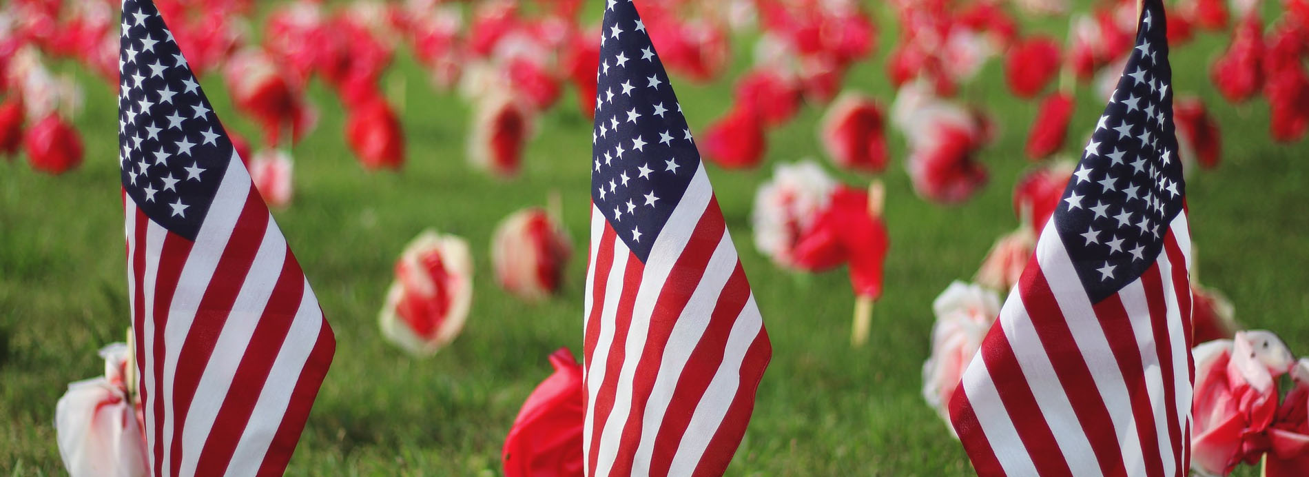 small flags stuck in the ground at a miltary cemetery with white headstones.