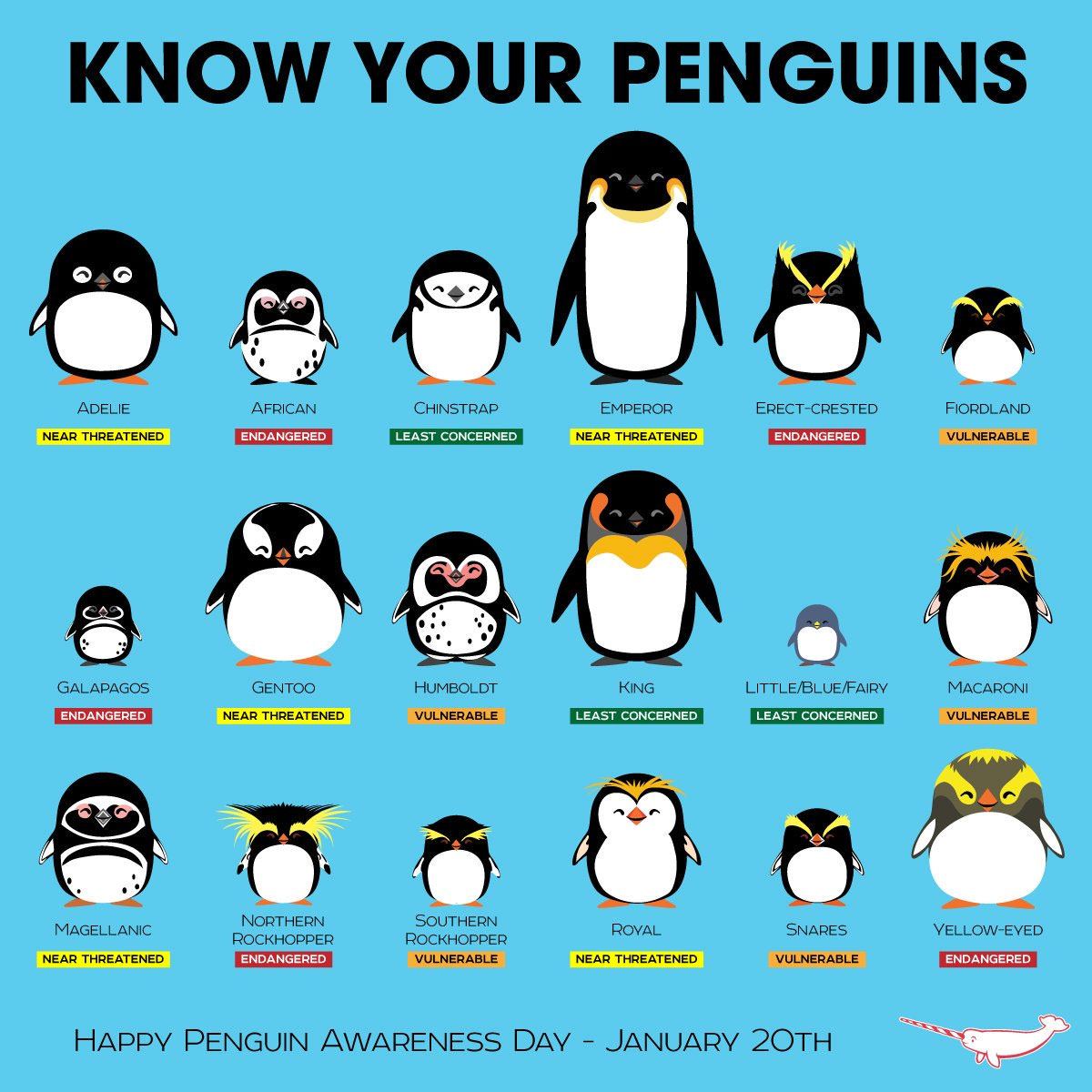 Text: Know Your Penguins. Cartoons of 18 penguins. Text: Happy Penguin Awareness Day - January 20.