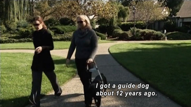 Screen capture of video. Two women and a dog walk on a sidewalk.  Caption reads 'I got a guide dog about 12 years ago.'