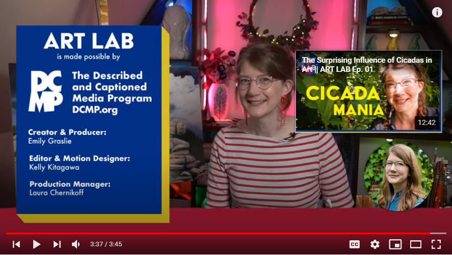 Image from: First Educational Series Utilizing YouTube’s New Native Audio Description Support