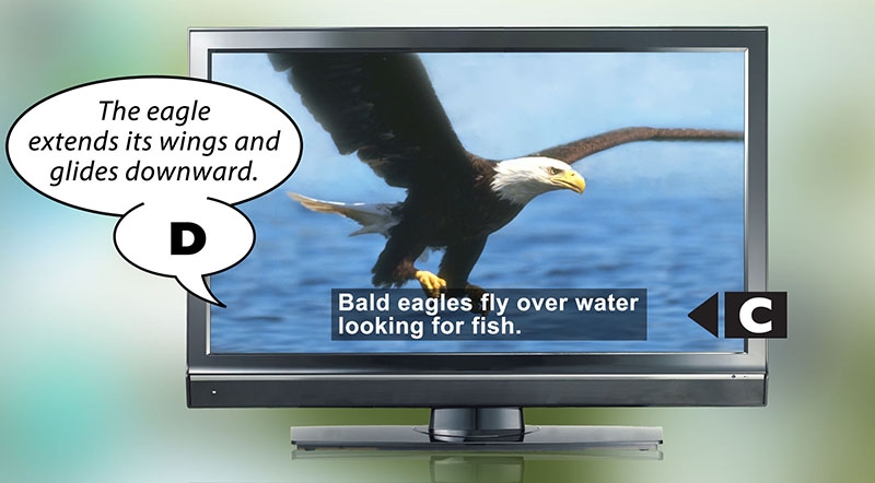 A television displaying a captioned image of an eagle with a speach bubble displaying the video's audio description that says The eagle extends its wings and glides downwards