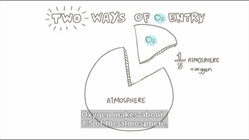 Still image from Dissolved Oxygen