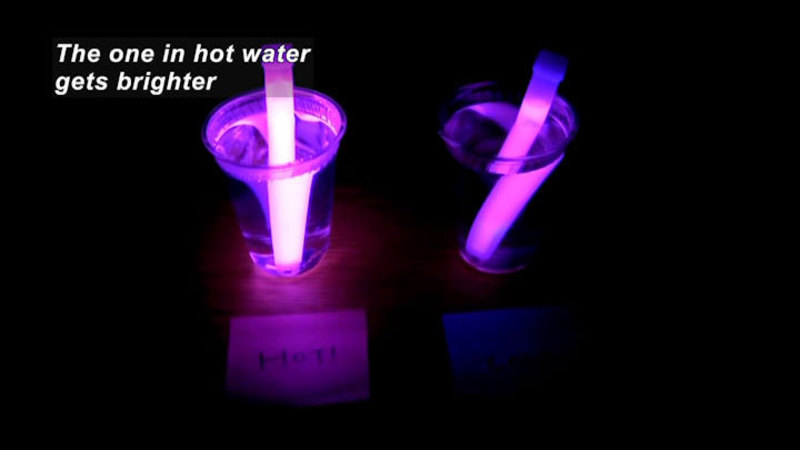 Two glow sticks immersed in separate containers of liquid. One stick is glowing much brighter than the other. Caption: The one in hot water gets brighter