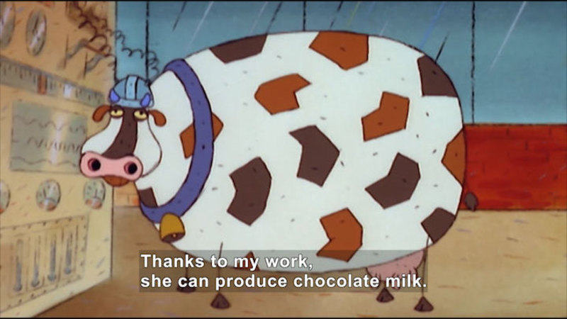Cow with a metal hat connected to wires that lead to a large machine. Caption: Thanks to my work, she can produce chocolate milk.