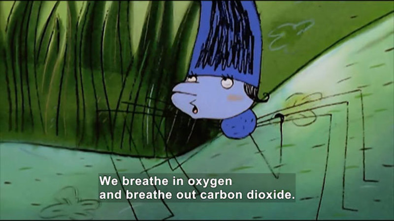 Illustration of a spider. Caption: We breathe in oxygen and breathe out carbon dioxide.