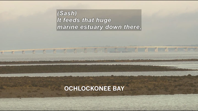 Fingers of land with inlets of water. A large flat bridge in the background. Caption: Ochlockonee Bay. (Sash) It feeds that huge marine estuary down there,