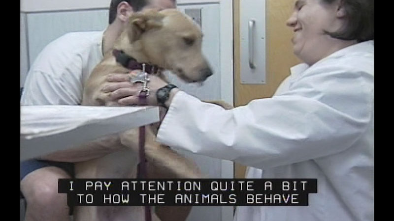 A person holding a dog on a leash while someone in a lab coat examines the dog. The dog's ears are back, and the dog looks nervous. Caption: I pay attention quite a bit to how the animals behave.