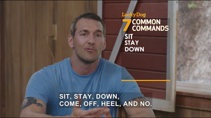 Person talking. Lucky Dog 7 common commands - Caption: Sit, stay, down, come, off, heel, and no.