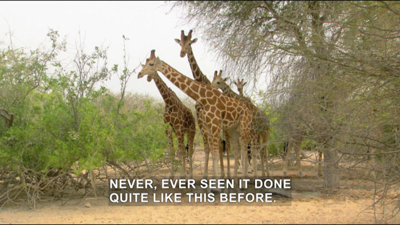 Still image from The Open Road With Dr. Chris: Challenge Accepted