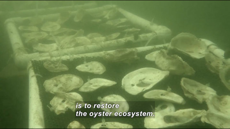 Still image from Science Nation: Hands-On Learning Research That Benefits the Economy and Environment