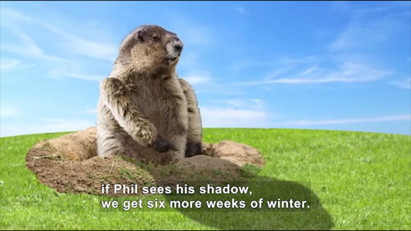 Groundhog peeking up from hole in the ground with sun behind him so that shadow is visible to him. Caption: if Phil sees his shadow, we get six more weeks of winter.