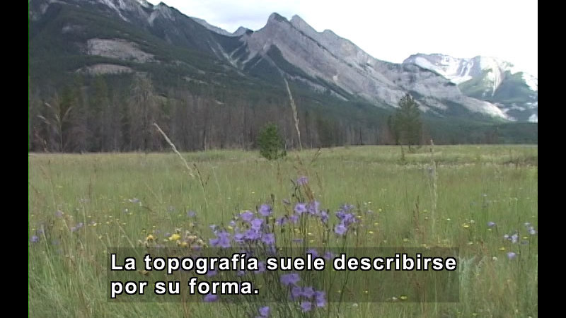 Grass and wildflower covered field surrounded by evergreen trees and snow-capped mountains. Spanish captions.