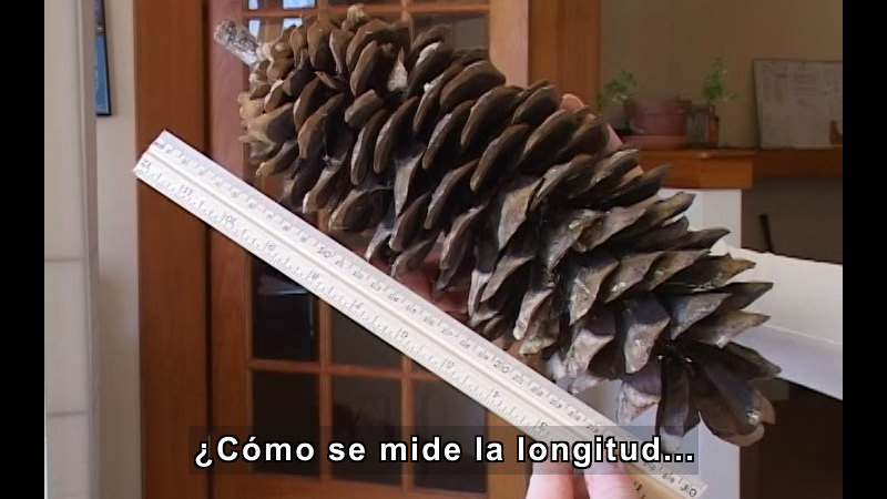 Still image from How to Measure Length (Spanish)