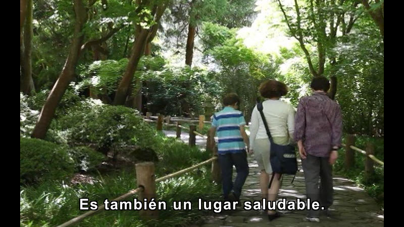 Three people walking on a rock lined path through trees. Spanish captions.