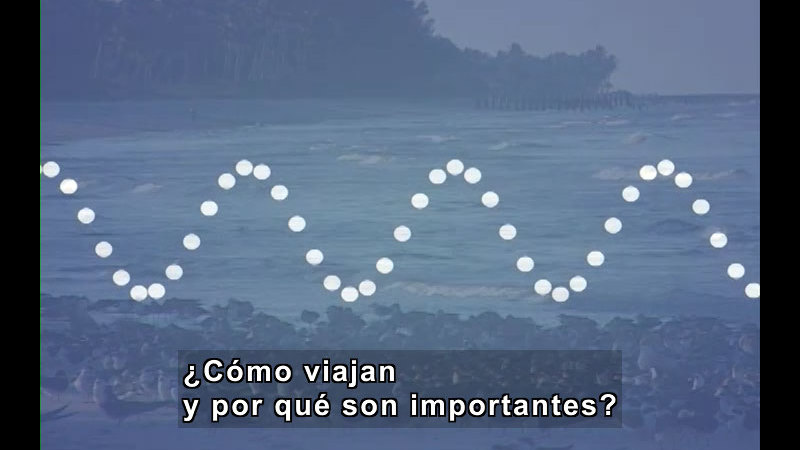 Still image from Vibrations and Waves (Spanish)