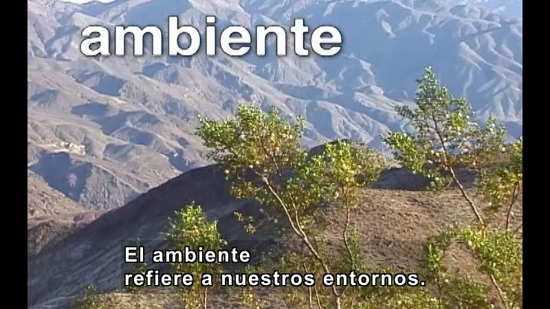 Rolling mountainous landscape with tree in foreground. Spanish captions.