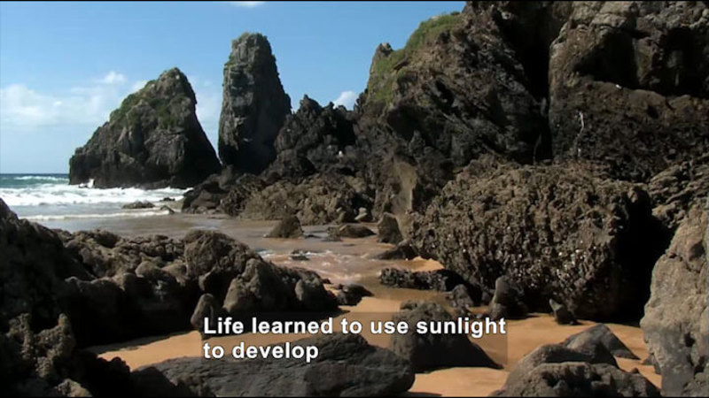 Rocky coastline. Caption: Life learned to use sunlight to develop