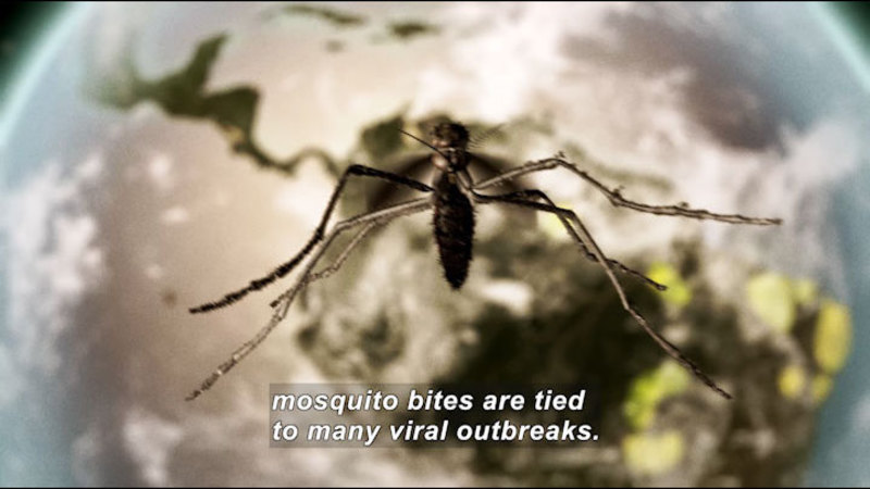 Close up of a mosquito with the earth as seen from space in the background. Caption: mosquito bites are tied to many viral outbreaks.