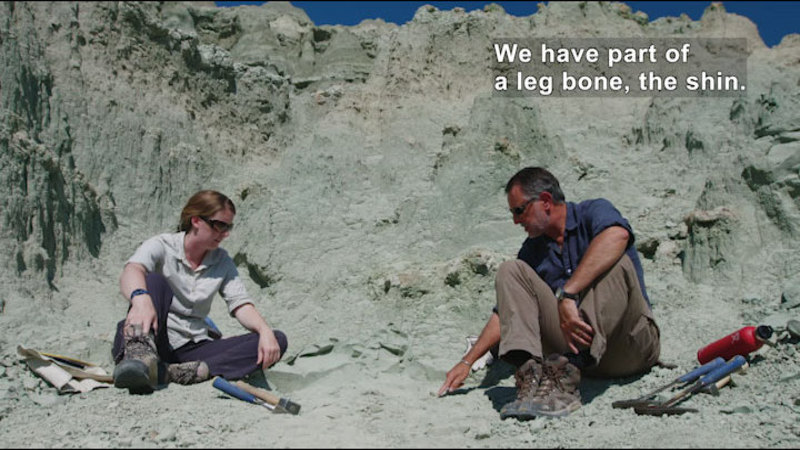 A man and a woman sitting on the ground with tools beside them. Caption: We have part of a leg bone, the shin.