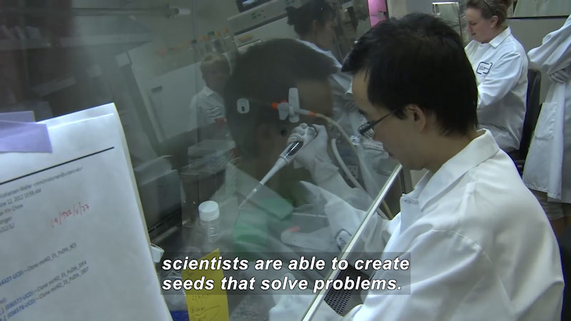 Person in a lab holding a pipette behind a plexiglass shield and working. Caption: scientists are able to create seeds that solve problems.