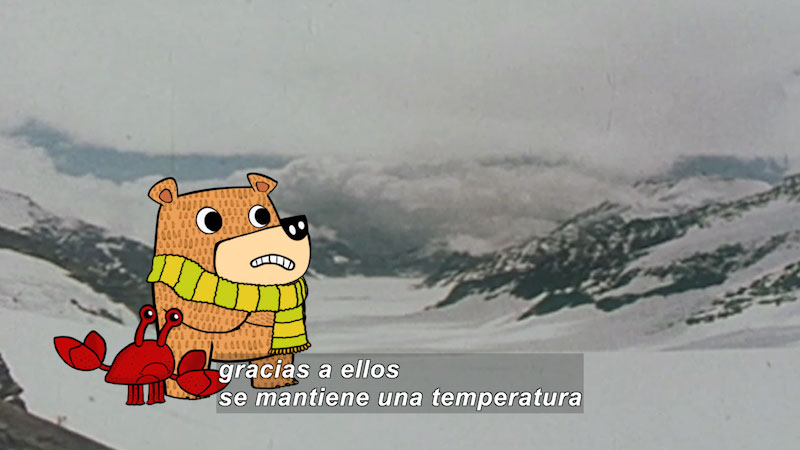 Cartoon of a bear wearing a scarf and a crab in a snowy mountain landscape looking cold. Spanish captions.