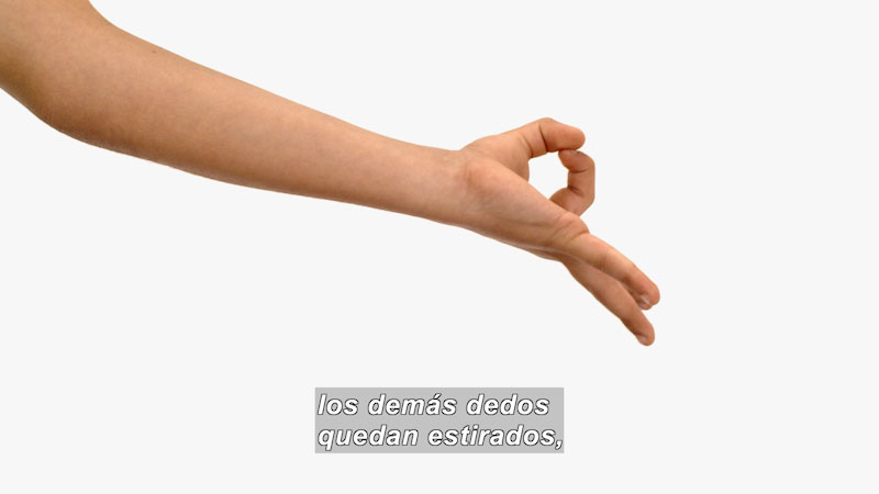 Still image from Ooommm Mmmooo Yoga For Children: Green Willy--Take It Easy (Spanish)