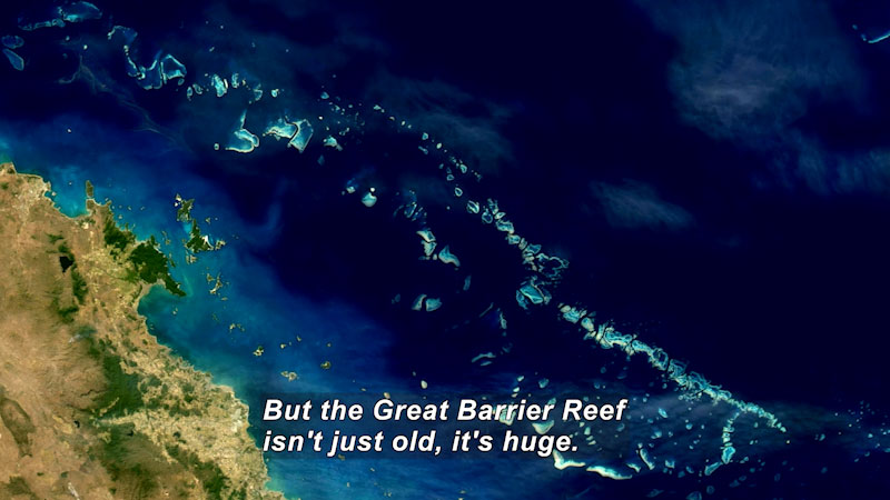 Aerial view of a coastline with a coral reef running parallel to it. Caption: But the Great Barrier Reef isn't just old, it's huge.
