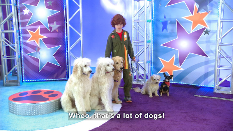 Still image from Mutt & Stuff: Woof Out!