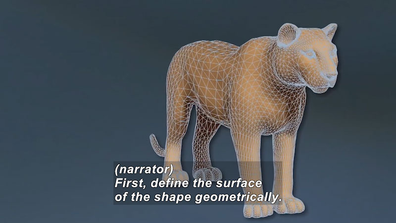 Geometric design of a large cat. Caption: (narrator) First, define the surface of the shape geometrically.