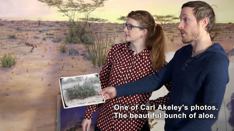 Two people standing in front of a mural. One holds a printout of a photograph. Caption: One of Carl Akeley's photos. The beautiful bunch of aloe.