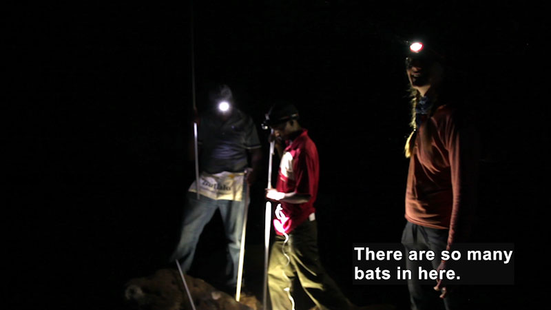 Three people in a dark cave wearing headlamps. Caption: There are so many bats in here.