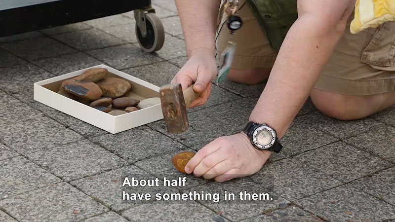 Person using a wooden mallet to break open a stone. Caption: About half have something in them.