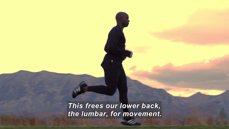 Person running. Caption: This frees our lower back, the lumbar, for movement.