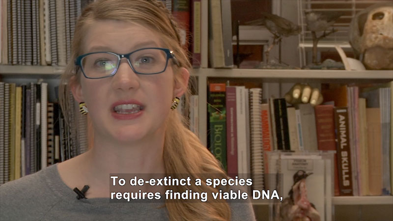 Person speaking. Caption: To de-extinct a species requires finding viable DNA,