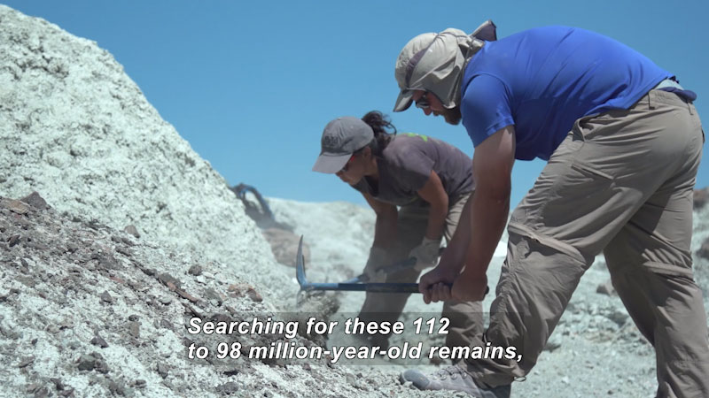 Two people with tools in their hands in a desert-like setting, digging in a mound of earth. Caption: Searching for these 112 to 98 million-year-old remains,