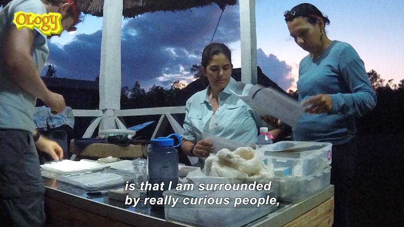 People in an open-air enclosure standing around a table with paper and other objects on the surface. Caption: is that I am surrounded by really curious people,