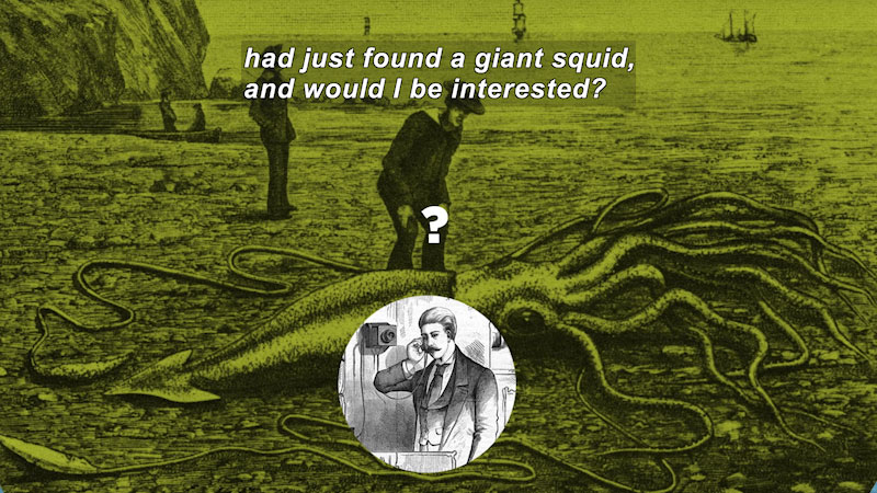 Illustration of a person standing on the shoreline next to a squid with a body larger than the person is tall. Caption: had just found a giant squid, and would I be interested?