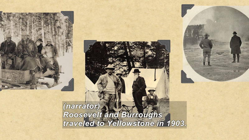 Three old black and white images of men. Caption: (narrator) Roosevelt and Burroughs traveled to Yellowstone in 1903. 
