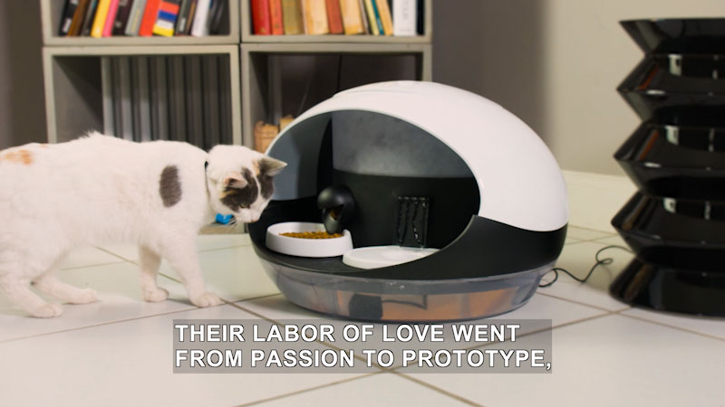 Cat standing in front of an automatic food dispenser. Caption: Their labor of love went from passion to prototype,