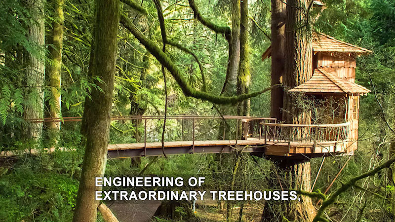 Treehouse built onto two trees and a wooden walkway leading to it. Caption: Engineering of extraordinary treehouses,