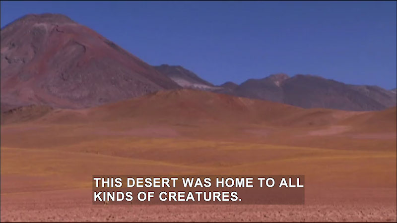 Desert with mountains rising behind it. Caption: This desert was home to all kinds of creatures.
