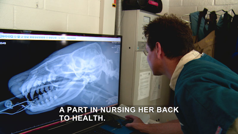Still image from Sea Rescue: Something to Write Home About